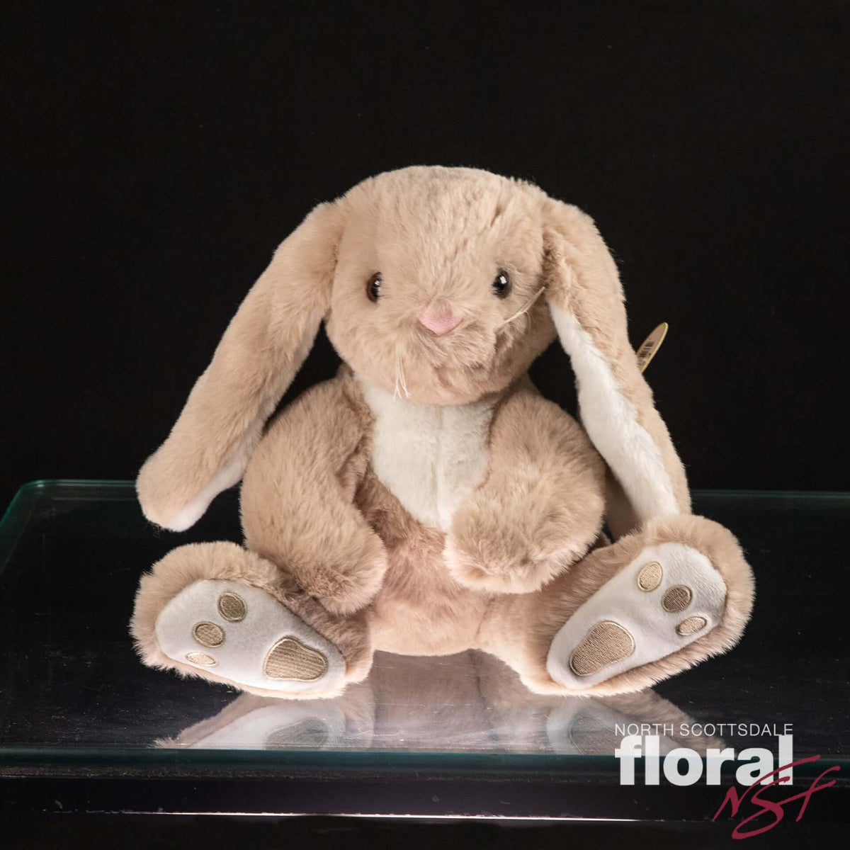 BoomertheBunny_1200x1200.jpg?v