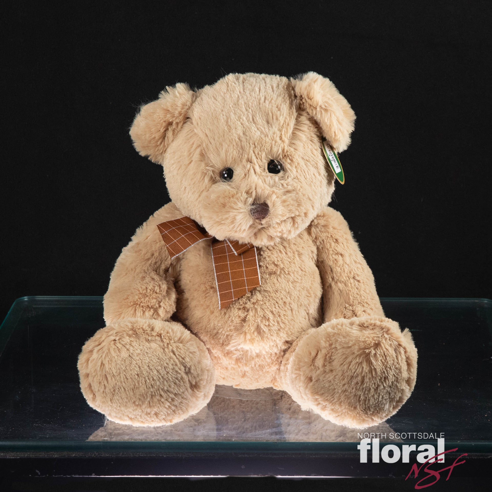 TEDDY: 14 BEAR – Bloomen Inc.