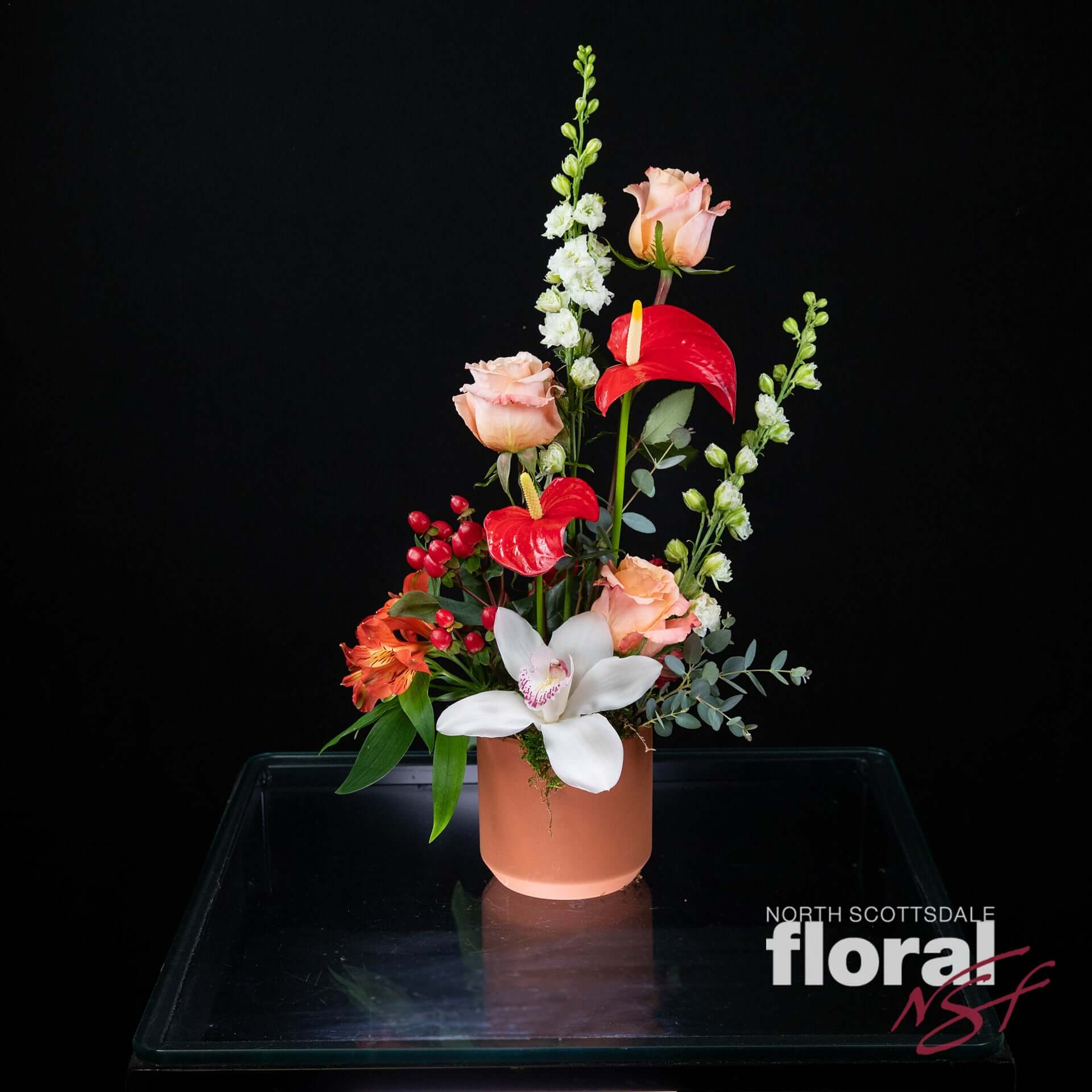 NewTropical.jpg?v=1743621399&