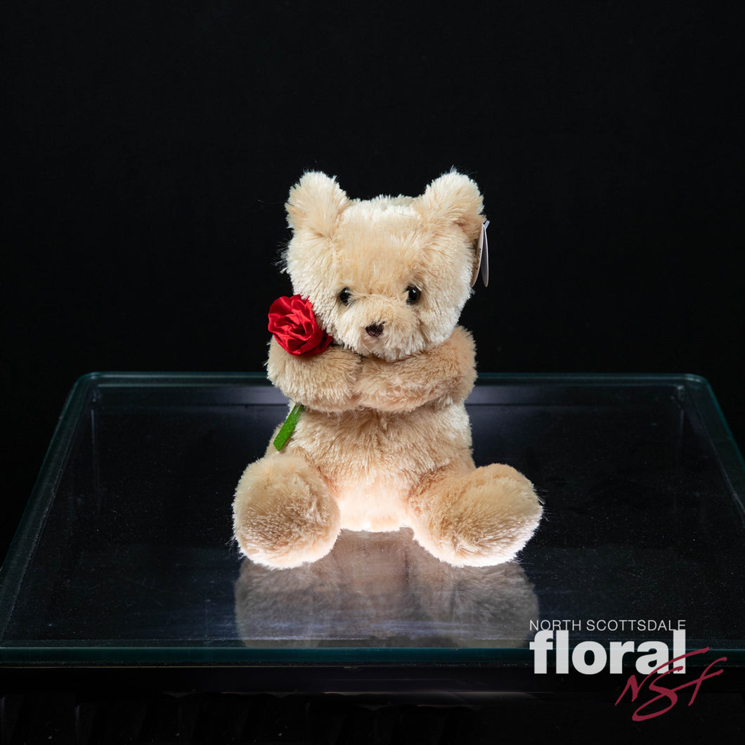 Remington the Valentine's Bear