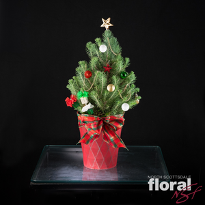 Charlie Brown's Christmas Tree